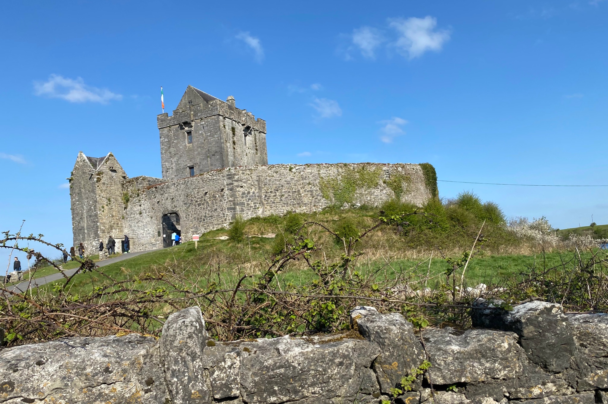 Dunguaire Castle