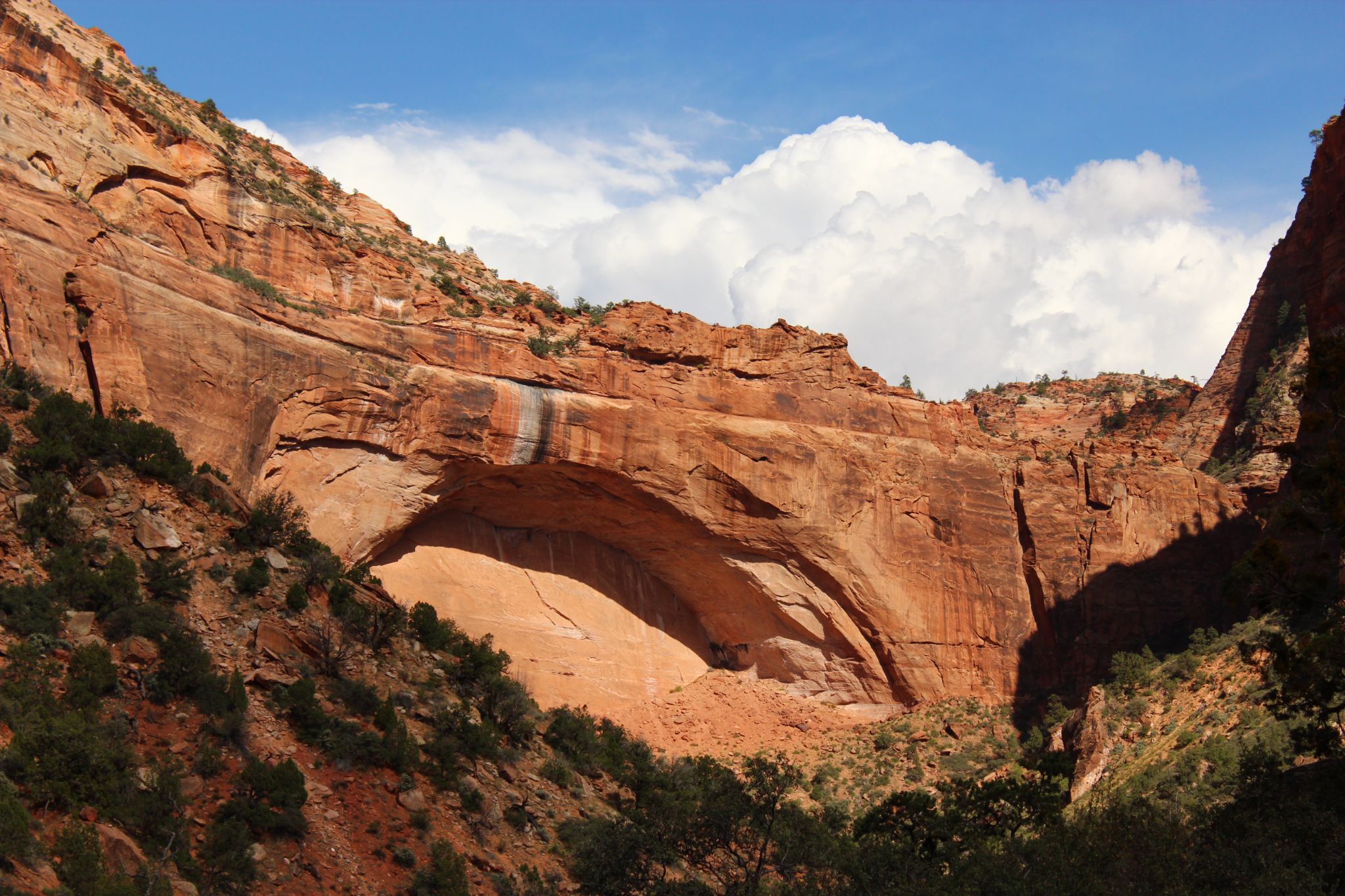 Zion National Park