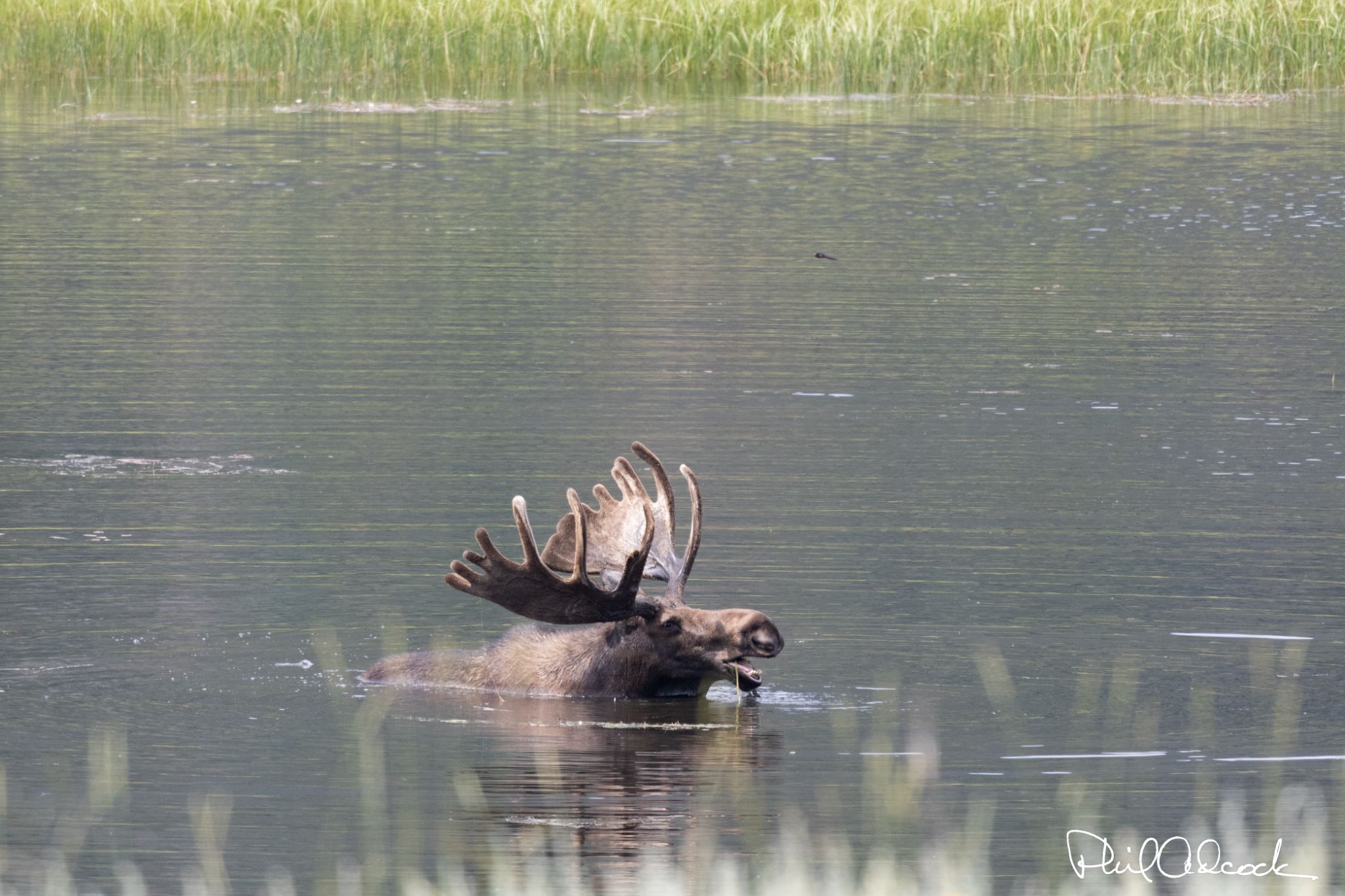 while cooling off